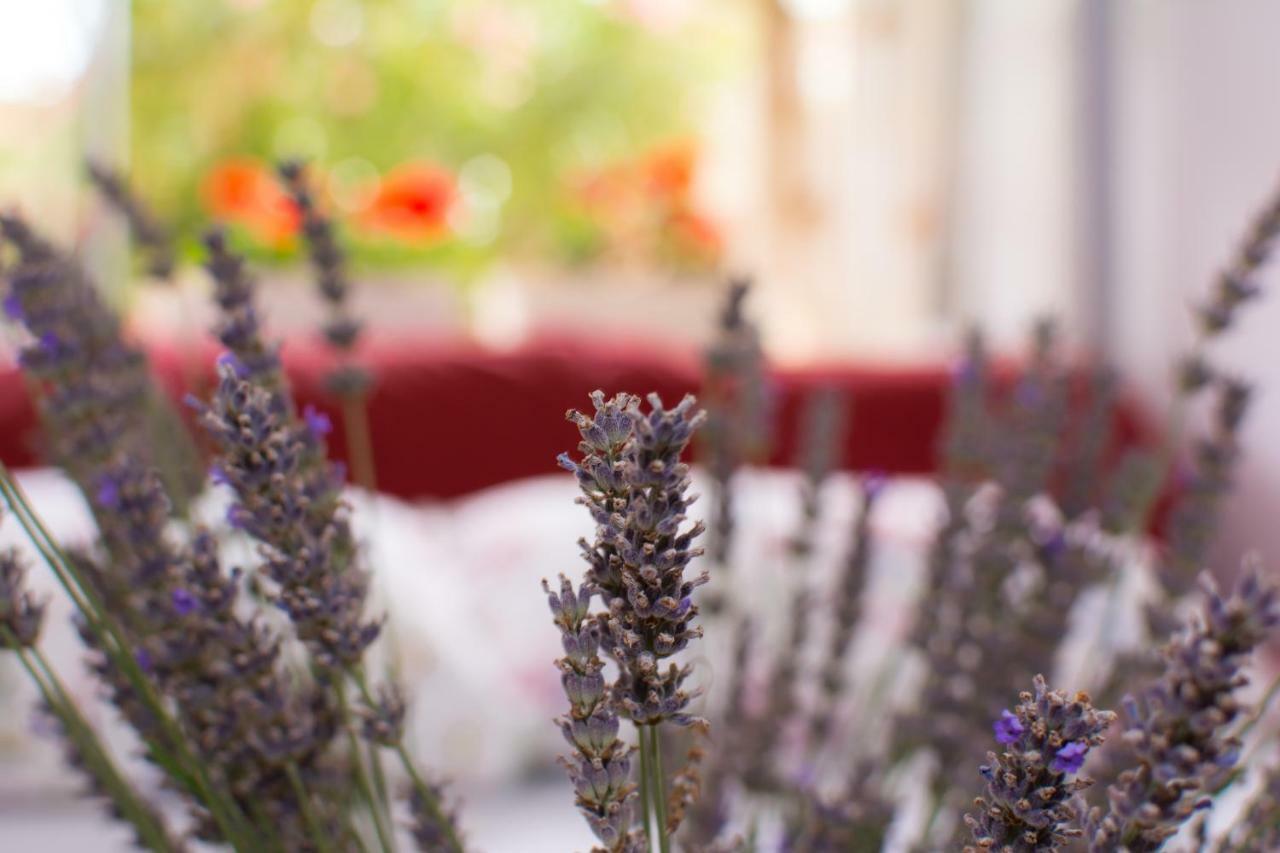 Apartment Vida - Amazing Place With Garden And Terrace Риека Экстерьер фото